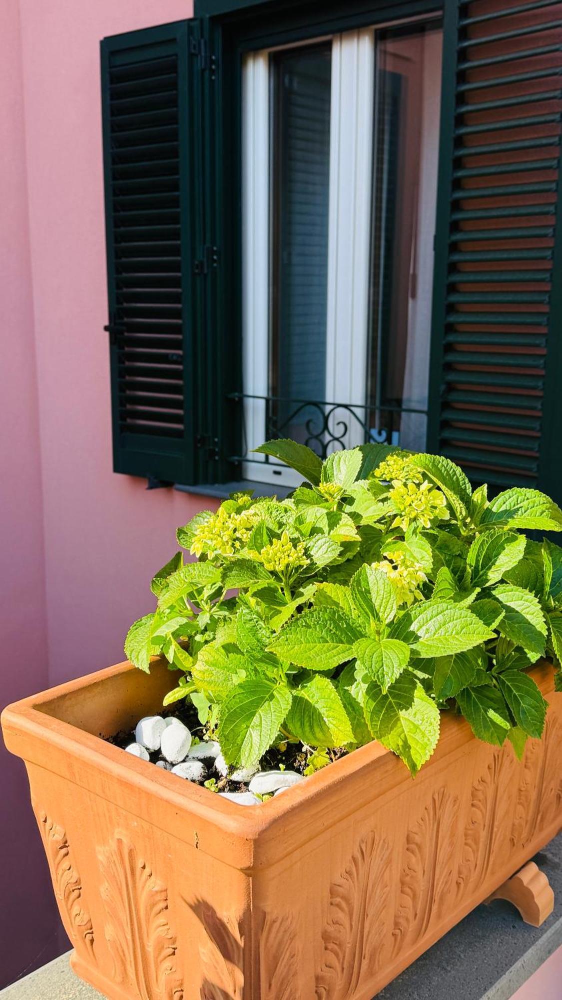 La Maison Rose Gasthof Maiori